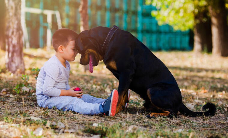 A boy and his dog seated in the yard with their heads against each other.